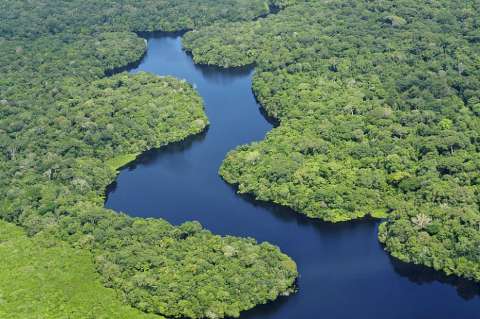 Entidades ambientales limitarán la frontera agrícola para cumplir fallo sobre Amazonas