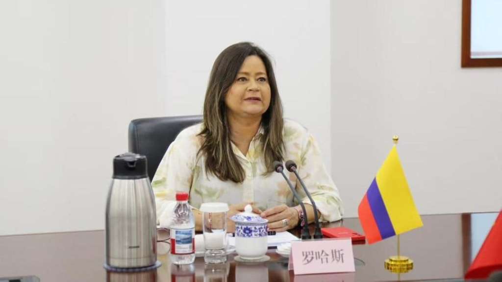 Congresistas del Valle le solicitaron a la ministra de Transporte que esté presente en la audiencia pública del jueves para explicar su compromiso con los proyectos de inversión e infraestructura de la región