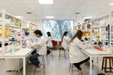 MinCiencias abre convocatorias para desarrollar proyectos de investigación