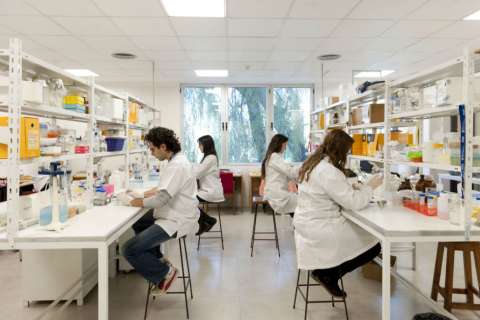 Corte Constitucional ordena tramitar de nuevo la ley que creó al Ministerio de Ciencia