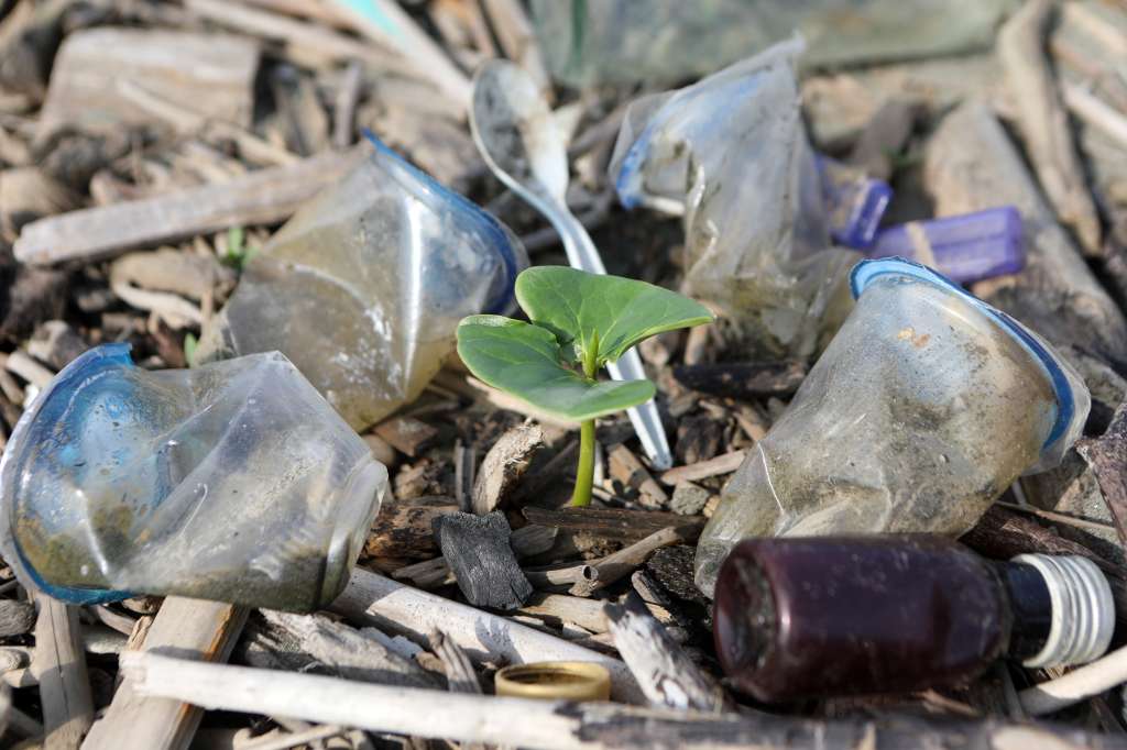Banda Aceh (Indonesia), 23/02/2023.- A plant seeds grows around piles of plastic waste washed up on riverbanks near the coastal area of Banda Aceh, Indonesia, 23 February 2023. Plastic waste from residential areas traversed by rivers is carried away during floods, causing plastic waste to end up in the seas off the coast of Indonesia. (Inundaciones) EFE/EPA/HOTLI SIMANJUNTAK