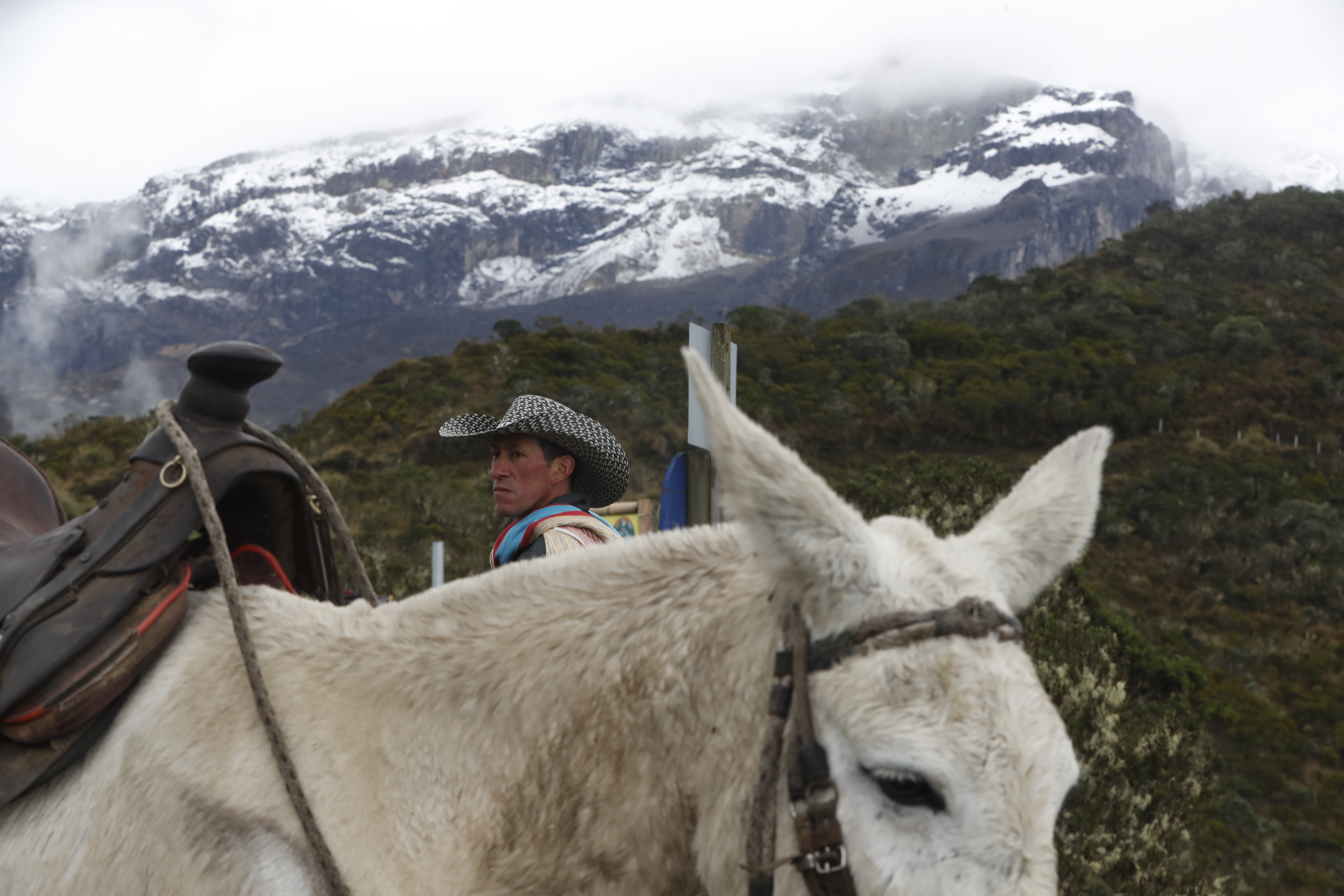 AME9352. MURILLO (COLOMBIA), 06/04/2023.- Campesinos salen con sus pertenencias y ganado del Volcán Nevado del Ruiz, hoy en Murillo (Colombia). El Servicio Geológico Colombiano (SGC) informó este jueves que la actividad sísmica en el volcán Nevado del Ruiz continúa variable, con un aumento en las últimas horas, por lo que se mantiene la alerta naranja."La actividad sísmica relacionada con el movimiento de fluidos al interior de los conductos volcánicos mostró aumento respecto al día anterior y estuvo asociada a varias emisiones pulsátiles y continuas de ceniza", dijo el SGC en un comunicado. EFE/ Ernesto Gúzman Jr.
