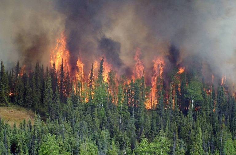 ¿Qué son los incendios ‘zombis’ y por qué están inquietando tanto a los científicos?