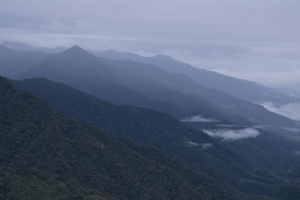 Vía que comunica los municipios de Mocoa y San Francisco, ubicados en la región montañosa del Putumayo.