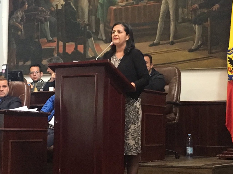 Carmen Teresa Castañeda. /Concejo de Bogotá