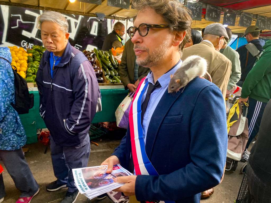 The rat 'Plume' sits on the shoulder of Gregory Moreau, the deputy mayor of Paris's 11th district, as he strolls through a market in the Belleville neighborhood in Paris on September 16, 2025. Deputy mayor Moreau has made it his mission to reconcile Parisians with their unloved co-inhabitants. (Photo by Ulrike KOLTERMANN / AFP)