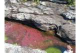 El pasado y presente de Caño Cristales