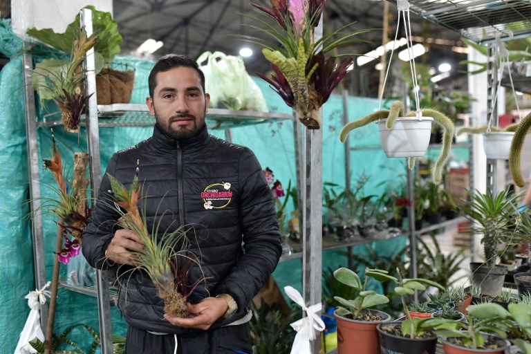 Luis Burgos proviene de una familia que siempre ha estado ligada al Mercado Nacional de Plantas y fue el anterior presidente de la cooperativa Floormacop