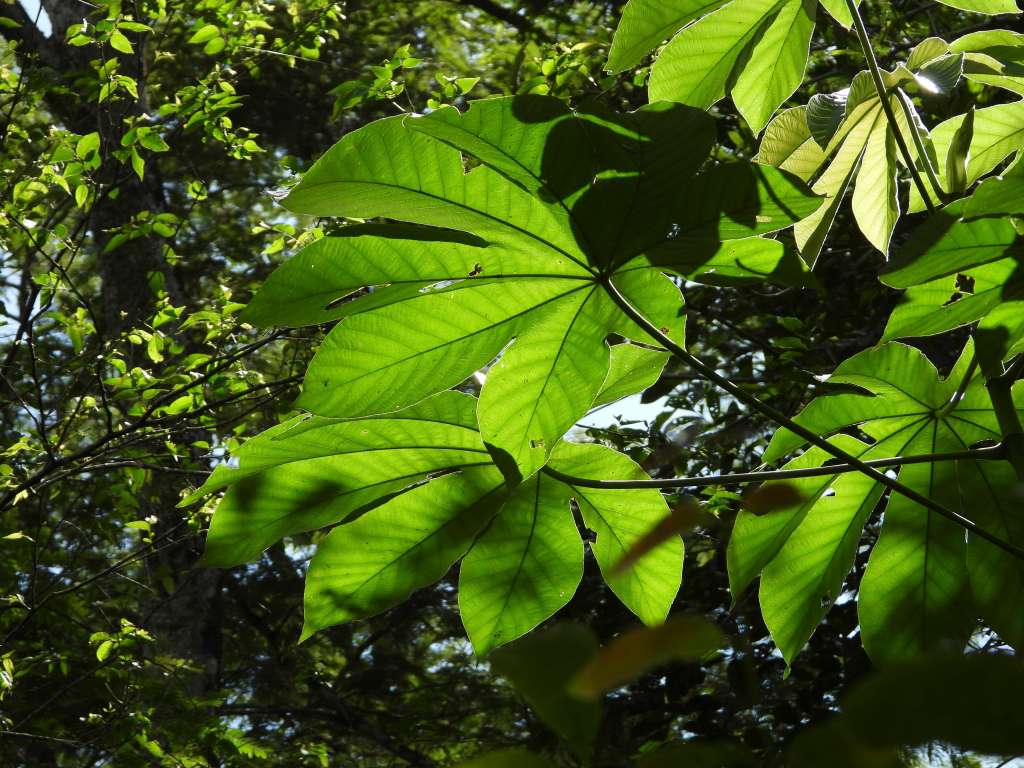 Yurumí: 800 hectáreas de vida silvestre