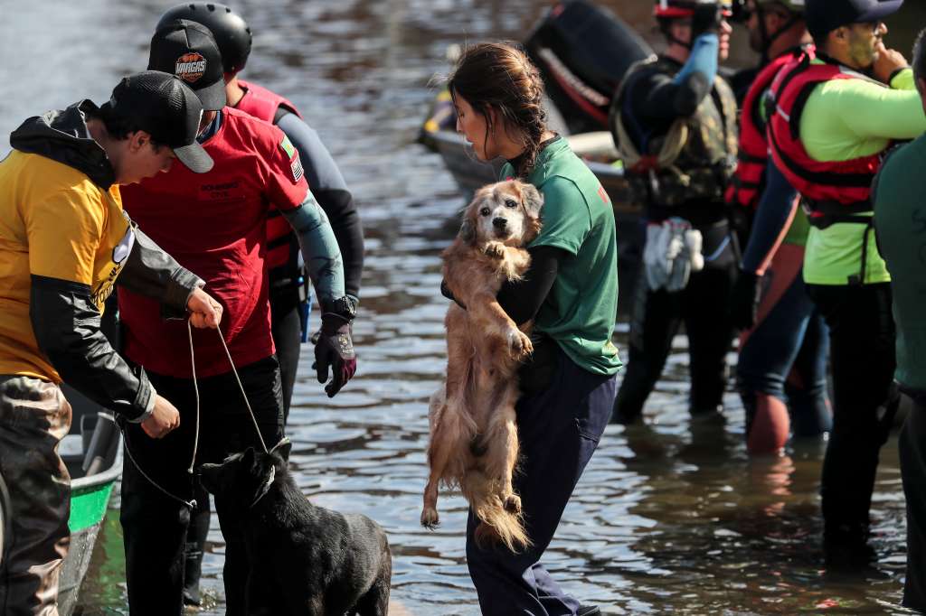 AME5895. CANOAS (BRASIL), 14/05/2024.- Voluntarios rescatan a un perro en una inundación en el río Gravataí, este martes en el barrio de Matias Velho, en Canoas, norte de Porto Alegre (Brasil). El Gobierno del estado de Rio Grande do Sul advirtió este martes de que el río Guaíba puede batir el récord histórico alcanzado la semana pasada, debido a las fuertes lluvias que cayeron en los últimos días. Las peores inundaciones que se recuerdan en la región ya han provocado más de 600.000 desplazados, 149 muertos y 127 desaparecidos. EFE/Sebastião Moreira