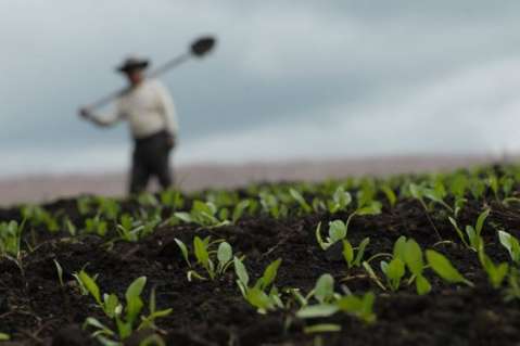 Cobros ilegales y suplantación: ANT alerta por estafadores en 25 departamentos