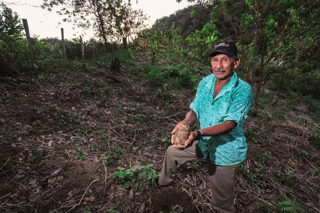 Productos con sabor a desarrollo y paz