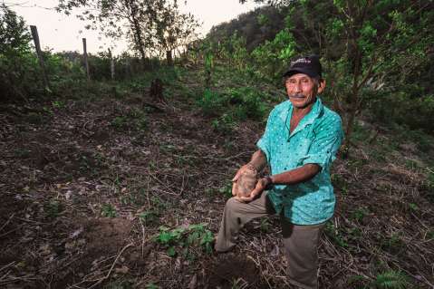 Ocho productos colombianos con sabor a desarrollo y paz