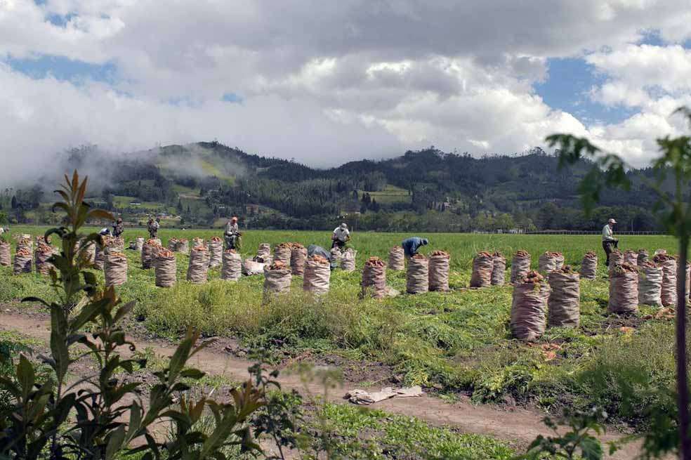 Por las montañas de Bojacá, cercanas e incluso contiguas al Distrito de Manejo Integral del Tequendama, correría la línea de 500 mil voltios de Nueva Esperanza. / Ben Guez
