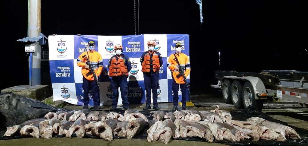 Las incautaciones se realizaron en Bahía Solano.