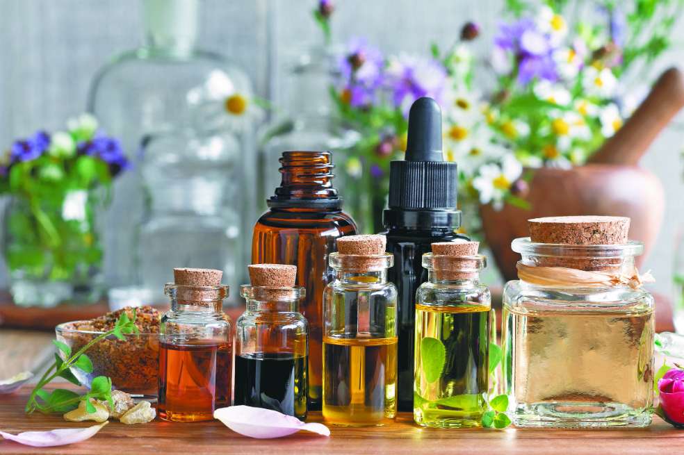Las plantas medicinales son especies vegetales que tienen propiedades curativas y pueden ser usadas como infusiones, ungüentos, cremas. / Getty Images