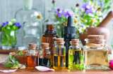 El poder de las plantas medicinales