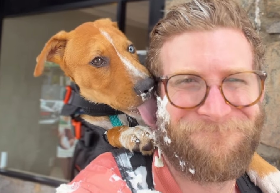 El creador Bryan Reisberg sale a caminar cada semana por la ciudad llevando en su espalda a perritos del refugio Best Friends Pet Adoption Center.