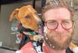 Creador de contenido pasea perros rescatados por Nueva York con cartel que dice “adóptame”