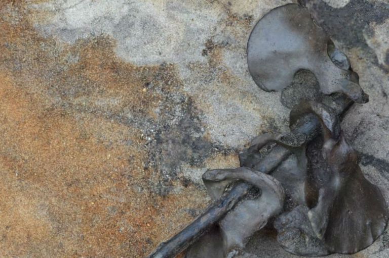 Restos óseos en Dinamarca desvelan un feroz combate de hace 2.000 años