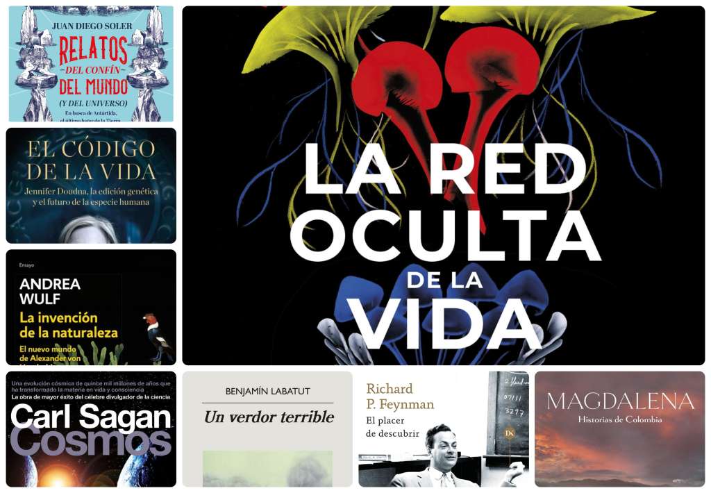 Libro