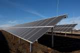 En subasta de energías renovables participarán 53 empresas