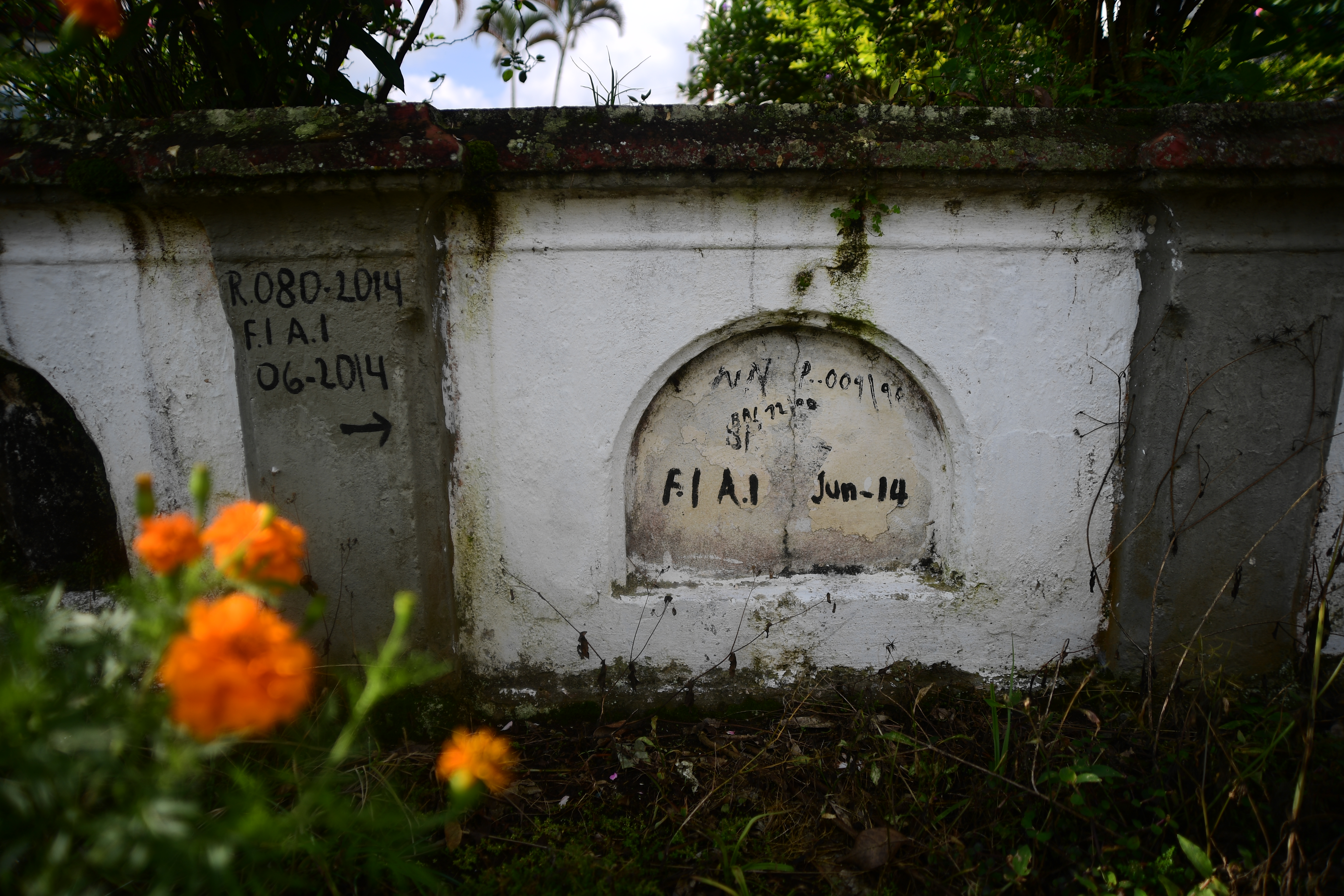 En el cementerio de Marsella, Risaralda, hay más de 500 cuerpos no identificados víctimas de la violencia.