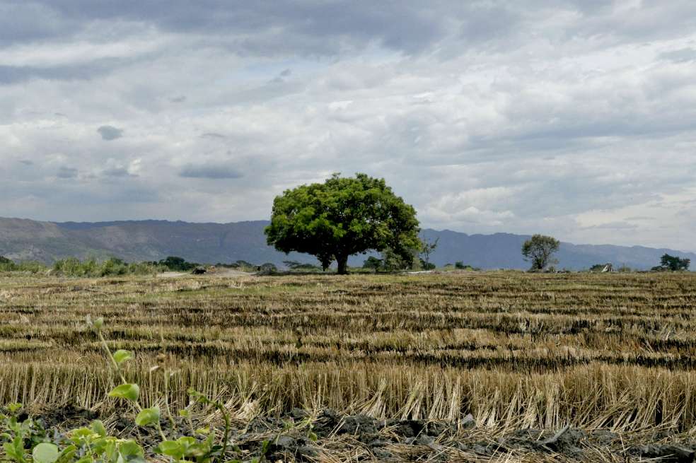 Mientras los precios que se pagan al productor cayeron más de 15 % en julio, con respecto al mismo mes del año pasado, los precios al consumidor han caído 4 % en todo el primer semestre.  / Bloomberg