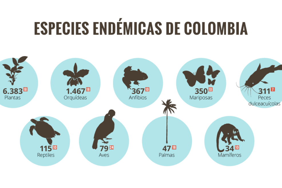 Especies endémicas de Colombia / Instituto Humboldt.
