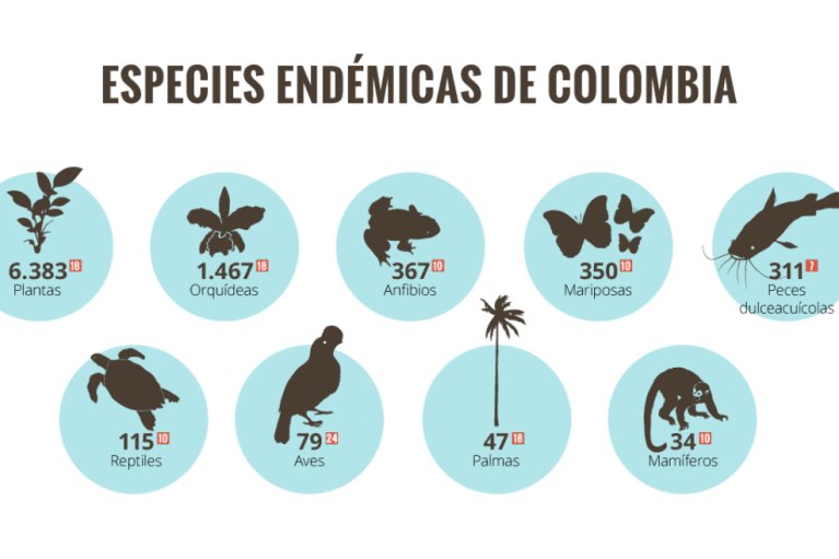 Así está la biodiversidad en Colombia