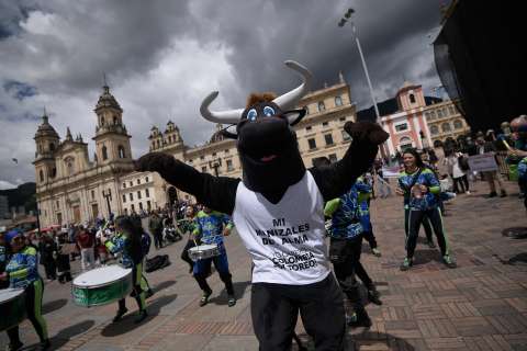 “Debemos ir por la abolición, los animales no necesitan regulación”: Colombia Sin Toreo