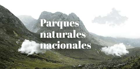 ¿Quién protege a los Parques Nacionales Naturales de Colombia?