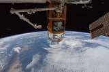 Reproducirse en el espacio sería posible según expertos japoneses
