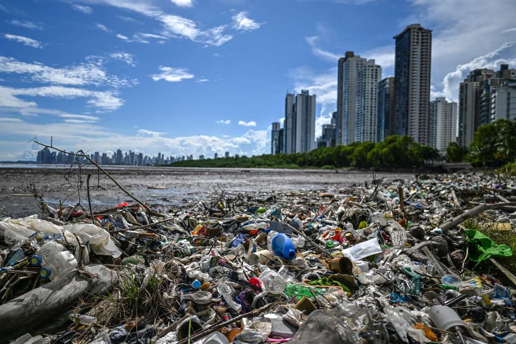 En ocasiones, tienen que ser las ong, asociaciones y hasta personal de distintas embajadas quienes organicen campañas para recoger de manera periódica la basura en las playas