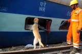 ¿Por que hay tantos accidentes de tren en India?