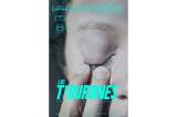 Sobre la película "Los tiburones"