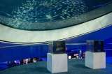 La Unesco inaugura exposición sobre el arte y la protección del medio ambiente