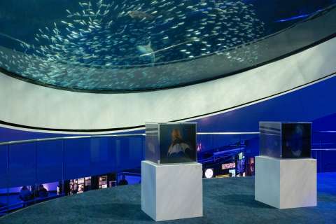 La Unesco inaugura exposición sobre el arte y la protección del medio ambiente