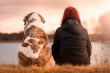 ¿Cómo superar la muerte de una mascota? Sigue estos consejos