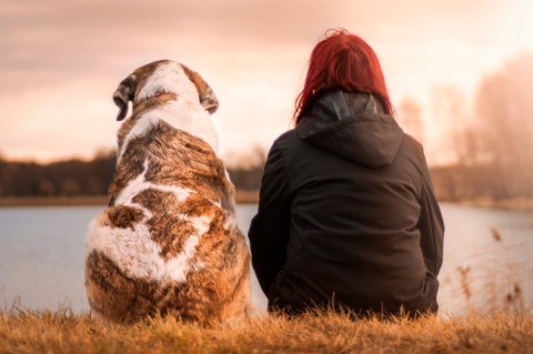 ¿Cómo superar la muerte de una mascota? Sigue estos consejos