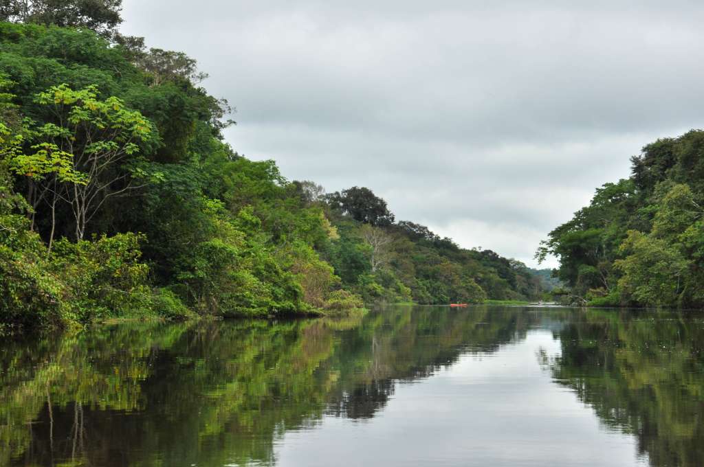 Los bosques y ríos de Puerto Nariño siguen estando en riesgo ante las economías ilegales y los múltiples intereses económicos que hay sobre la selva amazónica. Foto: Esteban Tavera