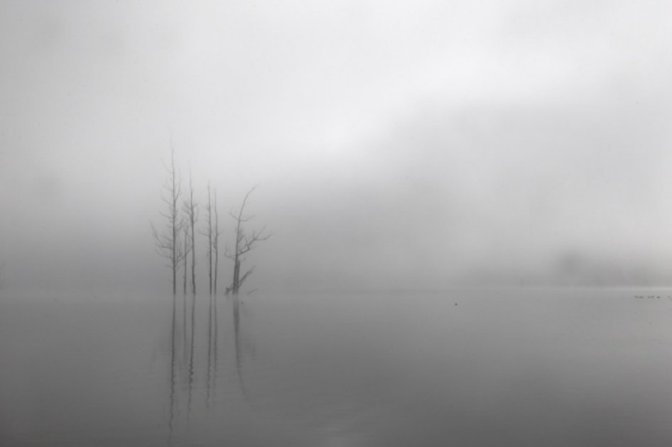“Niebla 2. De la serie Toca” de Sebastián Jaramillo (2010). / Foto: Archivo personal de Sebastián Jaramillo.
