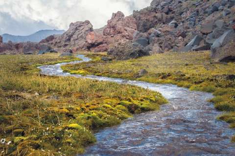 La naturaleza, un aliado ante la crisis económica que dejó el COVID-19