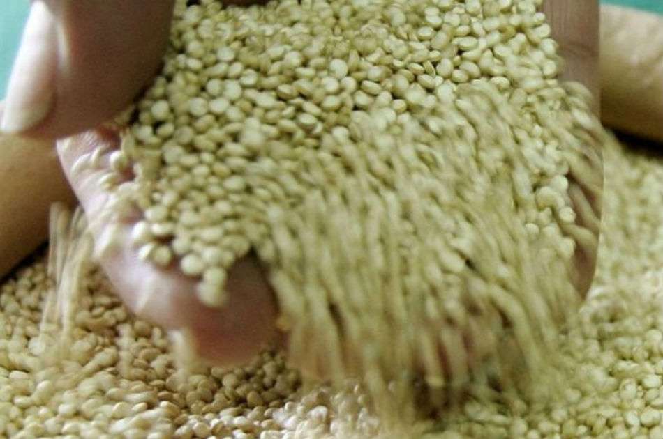 El XI Congreso Gastronómico se realiza entre el 5 y el 8 de septiembre.