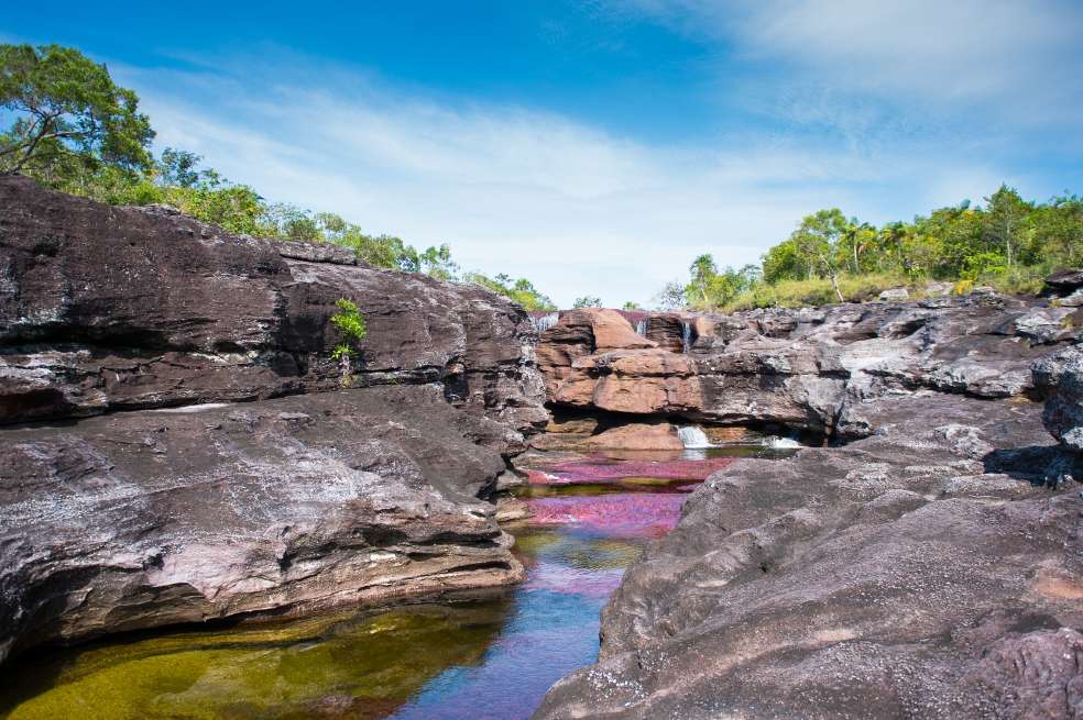 La joya de la corona llanera es Caño Cristales, el río de los siete colores, que sólo puede ser visitado durante los últimos seis meses del año. / David Schwarz