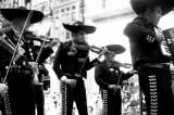 Los mariachis ahora dan consejos legales a indocumentados en EE. UU.