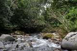 Alcaldes de Caquetá creen que hay una “oportunidad histórica” para proteger la selva