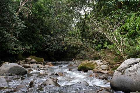Alcaldes de Caquetá creen que hay una “oportunidad histórica” para proteger la selva