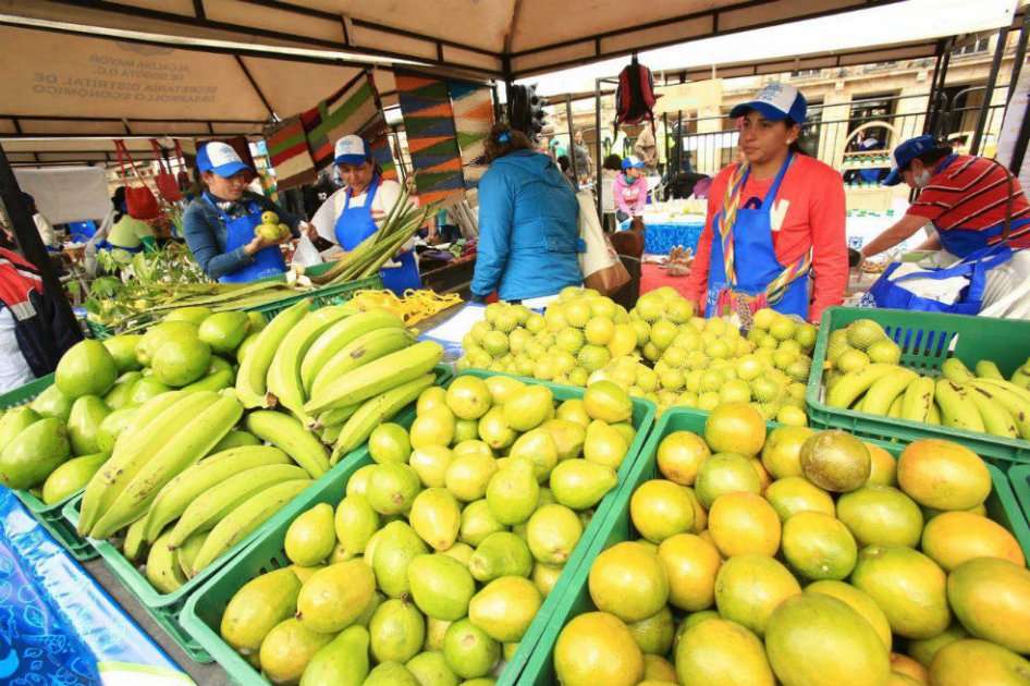 A partir de las 7:00 de la mañana de este viernes, 325 productores de la región central (Bogotá, Cundinamarca, Tolima y Boyacá) exponen sus productos en la Plaza de Bolívar. /Alcaldía