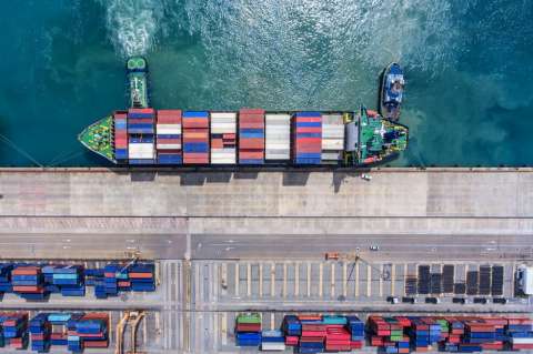 Importadores estadounidenses no pagarán aranceles por 90 días por COVID-19